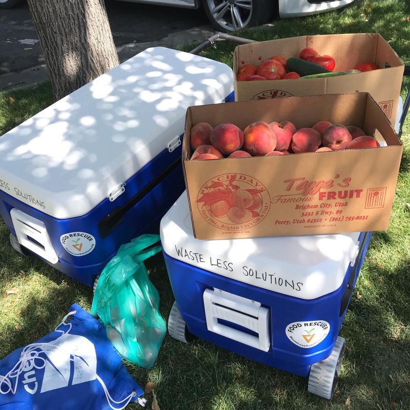 Discover Ways to Reduce Food Waste While Supporting a Food Rescue Program 