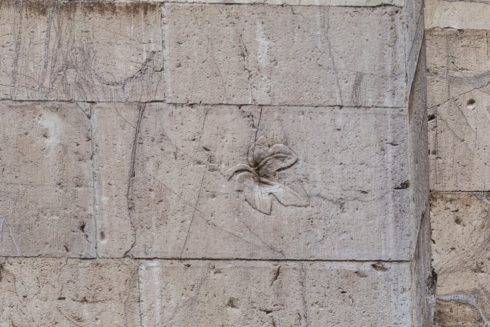 Le misteriose foglie del Duomo