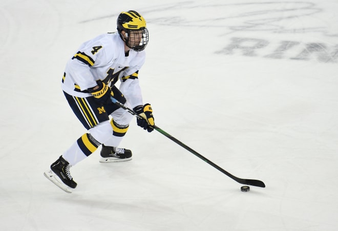 Michigan Wolverines hockey freshman defenseman Cam York