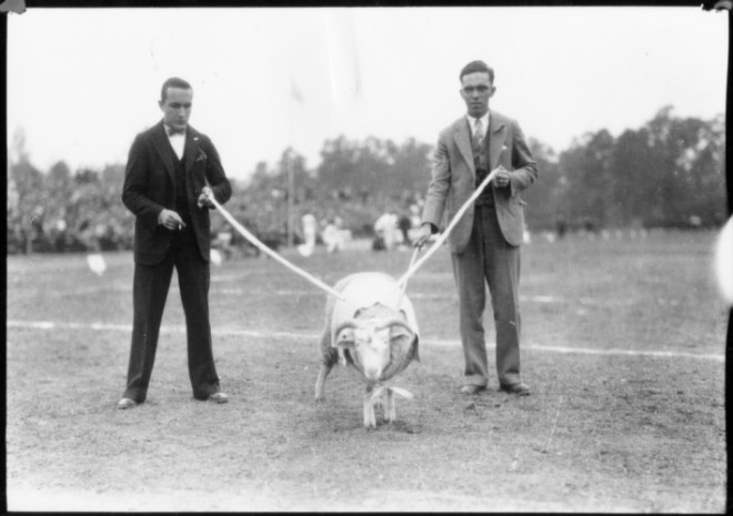 If not for Jack Merritt's physical approach in the 1920s, Rameses may not be a part of UNC lore.
