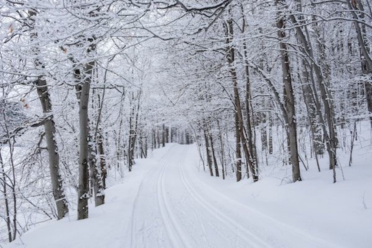 Inför Tour de ski - Etapper, TV-tider och stream