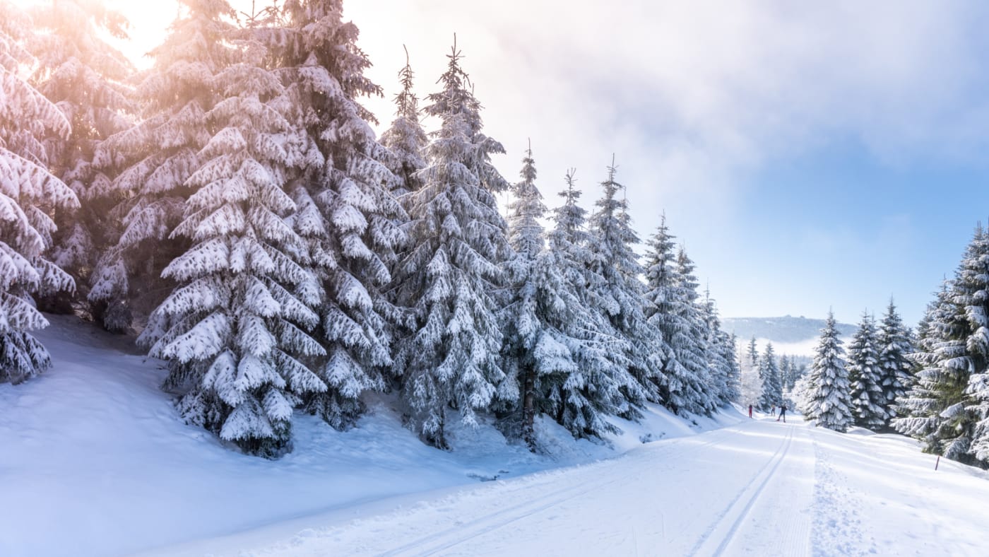 Tour de Ski 2024 - Tävlingsprogram, Svenska Truppen & TV-Tider