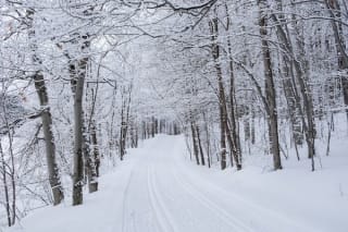 Inför Tour de ski (31 dec - 8 jan)