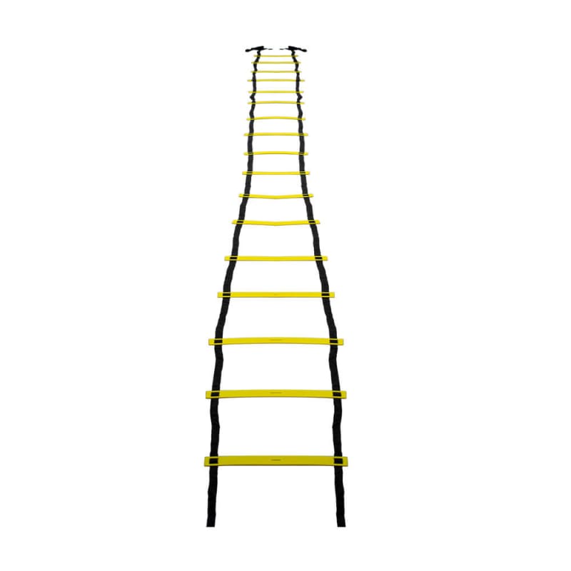 Training Ladder