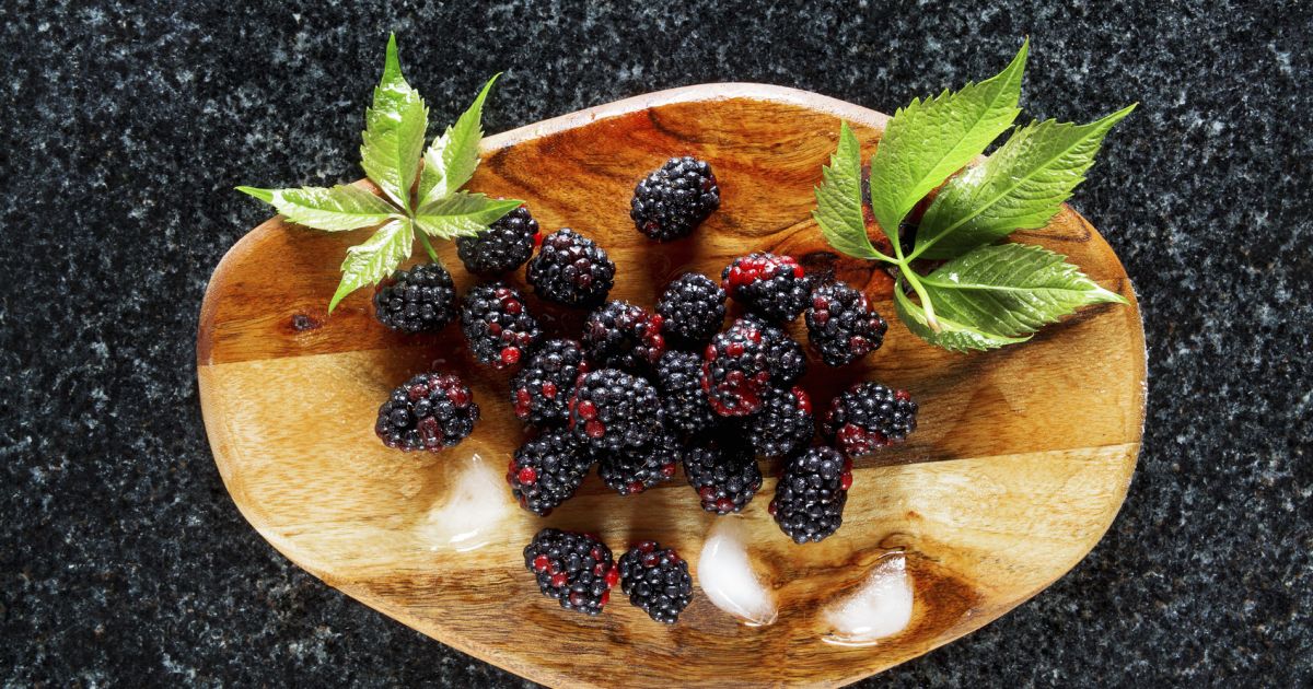 Blackberries Improve ShortTerm Memory Sharecare