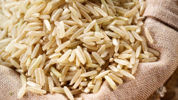 close up of brown rice