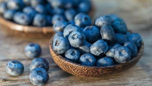 bowl of blueberries