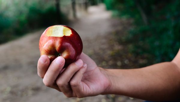 apple, hike, snack