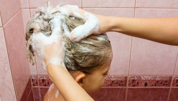 Head Lice 11 Myths Debunked Children S Health Sharecare