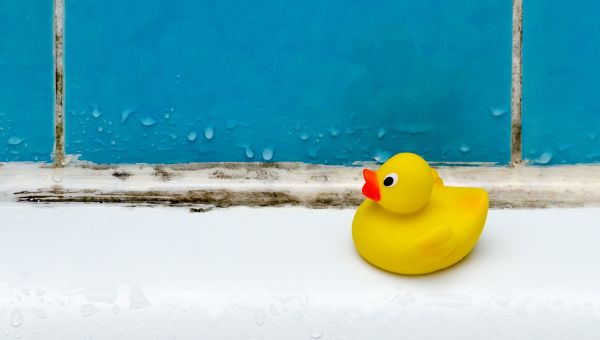 rubber duck on bath