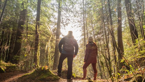 couple hiking in the woods