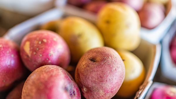 potato closeup