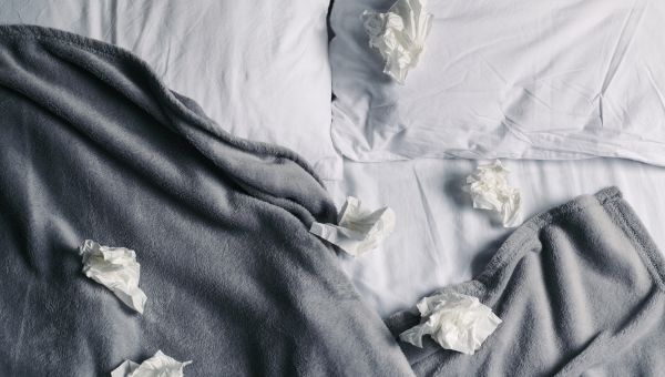 tissues in bed