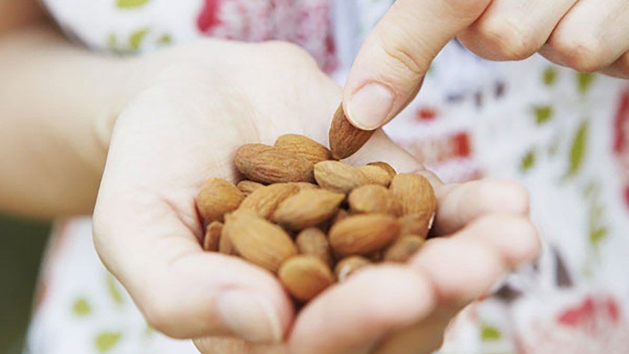A hand holds a bunch of almonds. 