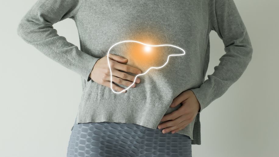 Male doctor showing model of liver