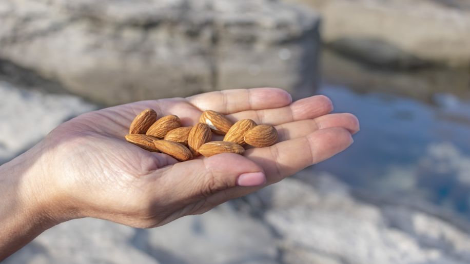 handful of almonds