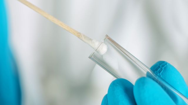 cotton swab, q-tip, gloved hands, test tube, testing