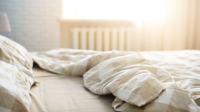 Freshly made bed bathed in morning sunlight