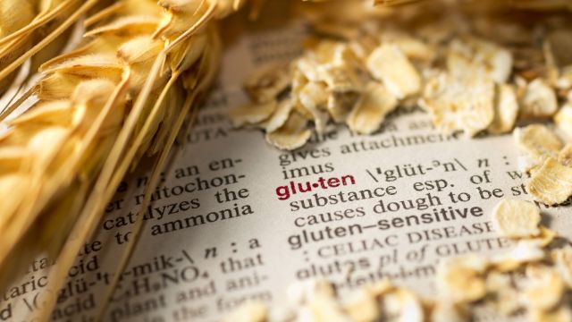 gluten definition