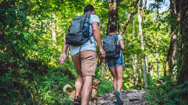 couple hiking in the woods