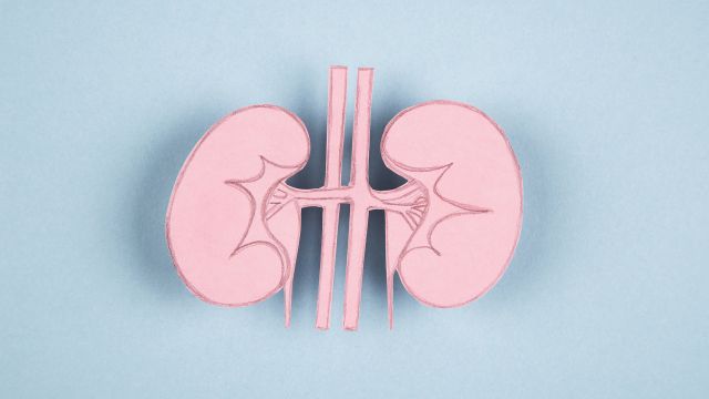 Diabetes can damage the kidneys and cause the kidneys to stop working correctly.