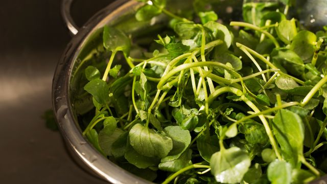 Watercress in colander after rinsing.