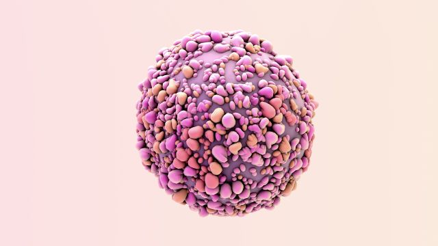 A 3D rendering of a breast cancer cell.
