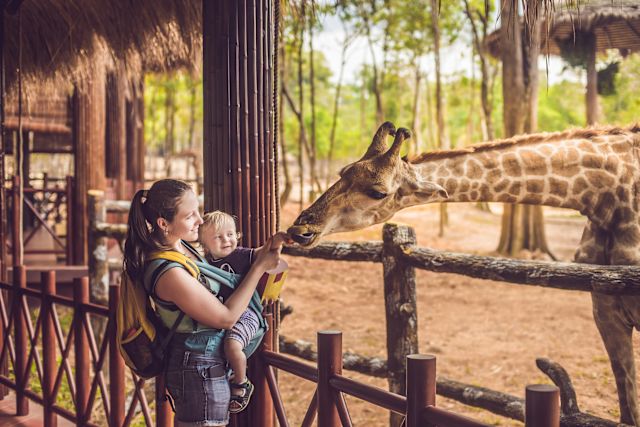 mother and young son feeding a giraffe at the zoo