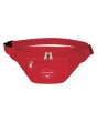 Fanny Pack with Organizer