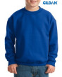 Custom Youth Sweatshirt