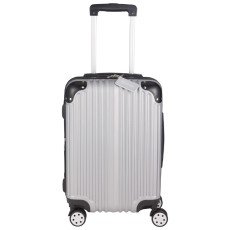 Metallic Upright Expandable Luggage with Tag