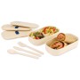 Nara Bento Lunch Box