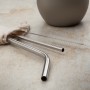 Perka Avila 5 Piece SS Straw Set