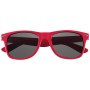Polarized Malibu Sunglasses