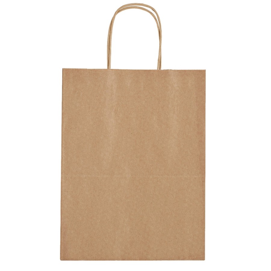 Kraft Paper Brown Shopping Bag - 10" x 13"