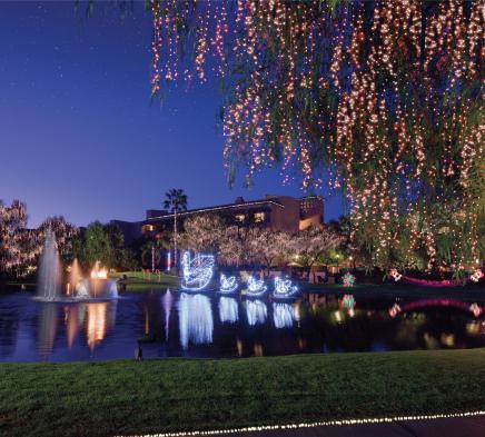 Events Official Travel Site For Scottsdale Arizona