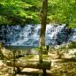 Friends of Laurel Hill State Park