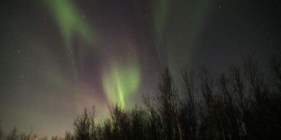 The Wonders of Northern Norway- Scan Adventure