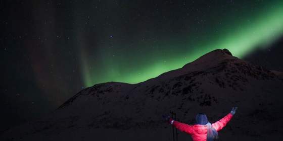 Your Northern Lights Guide in Tromsø - The Aurora Tour (from Oct 1)