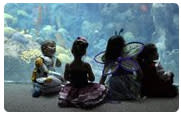 Florida Aquarium’s Guppyween