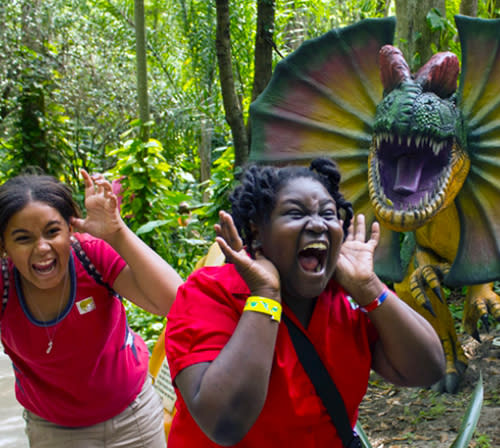 $2 off per adult, up to 4 discounted admissions.