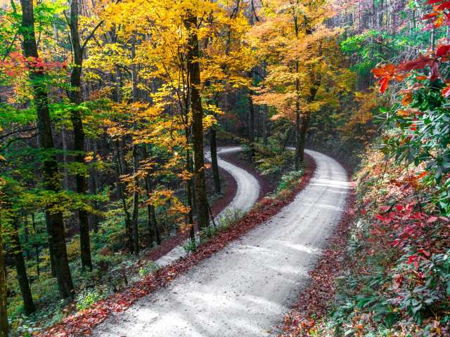 Fall Forecast And Weekly Fall Color Report Asheville Nc