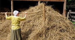 Explore the Re-Created Pioneer Farm at Mount Vernon