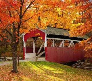 Experience Fall