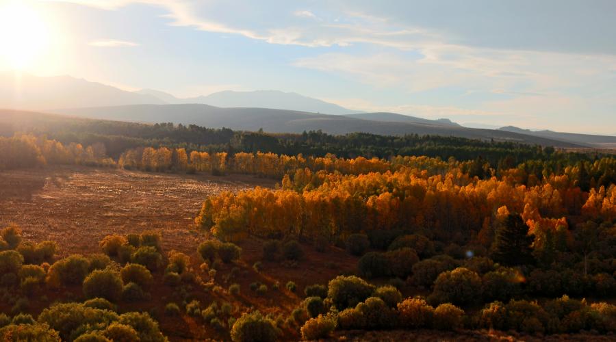 Conway Summit Fall Colors