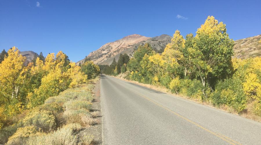 Virginia Lakes 2 on 9.11.16