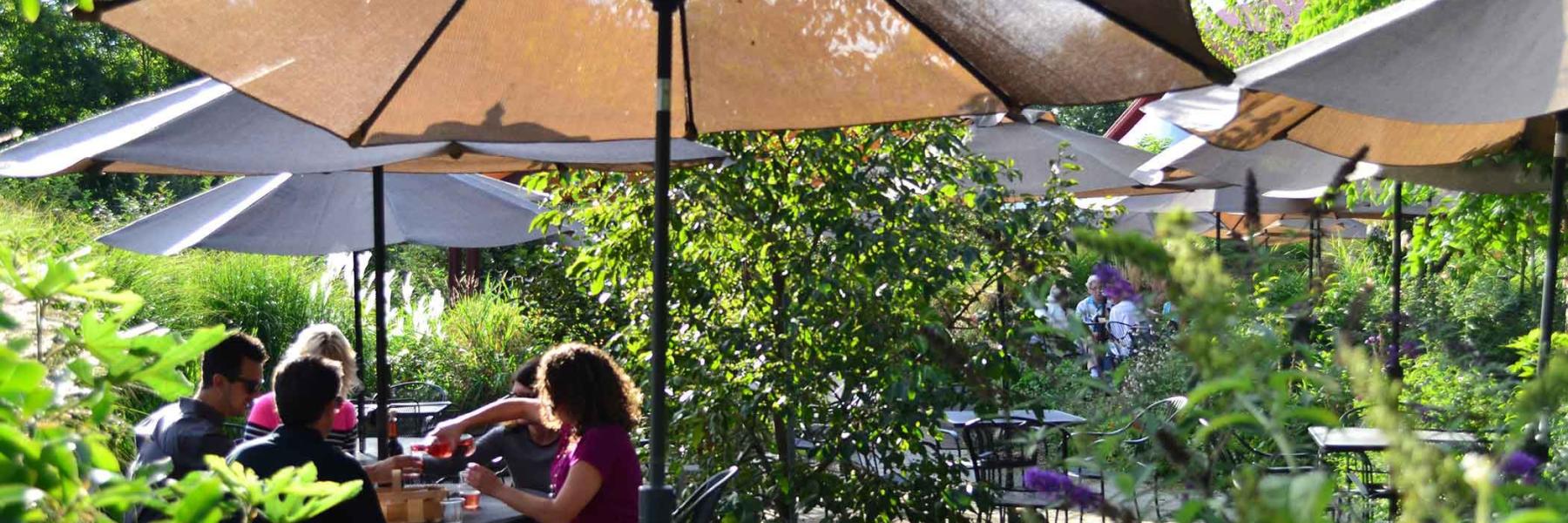 Discover PA’s Wine Country