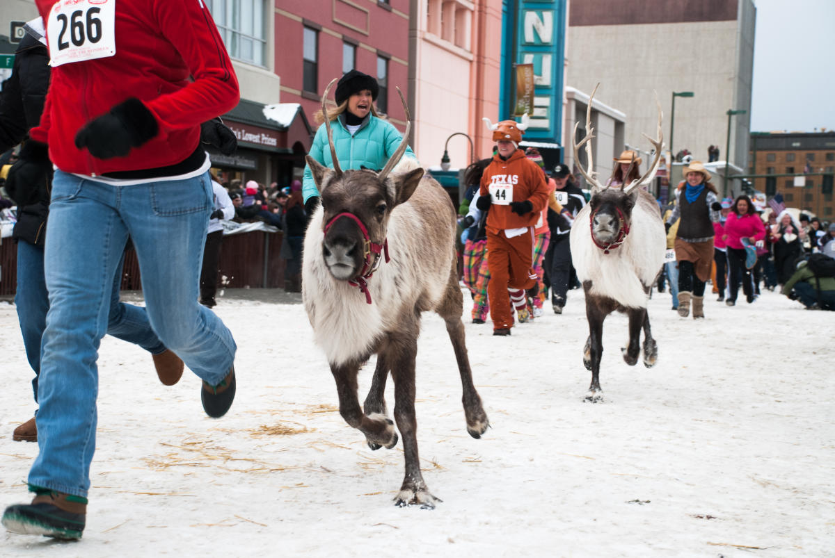 Anchorage Fur Rondy Visit Anchorage