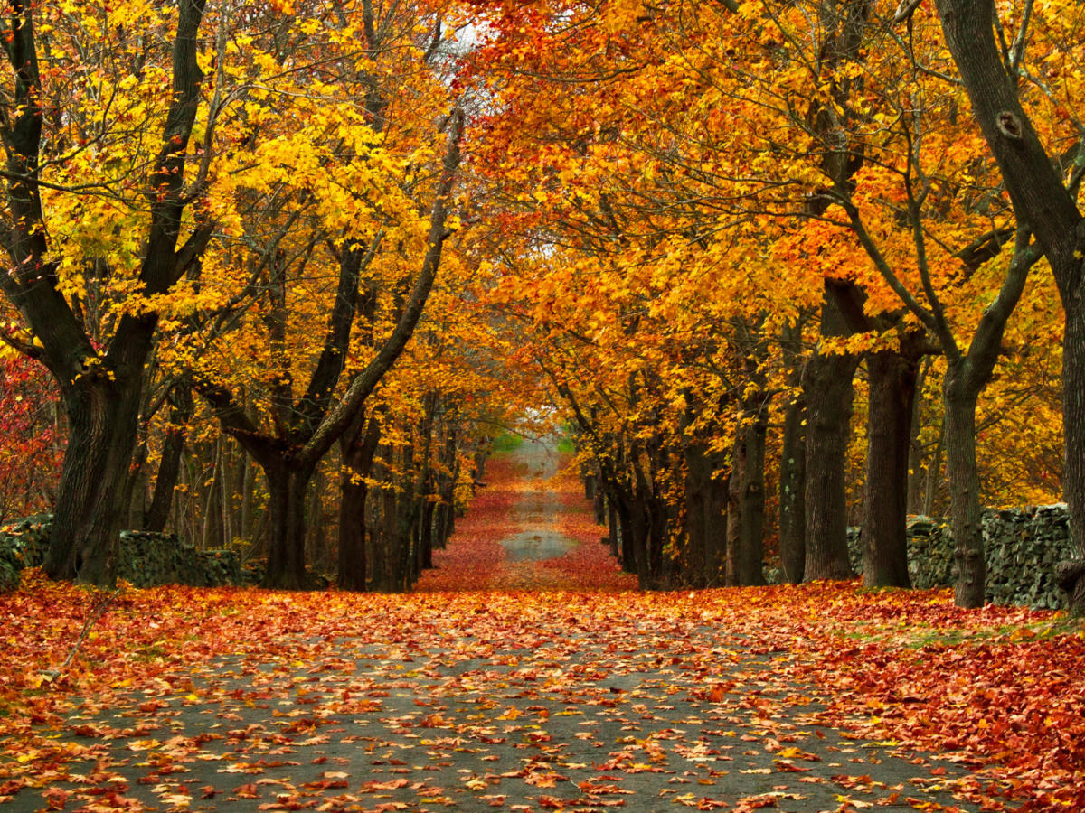 Conde Nast Traveler Names Newport Among 10 Secret Fall