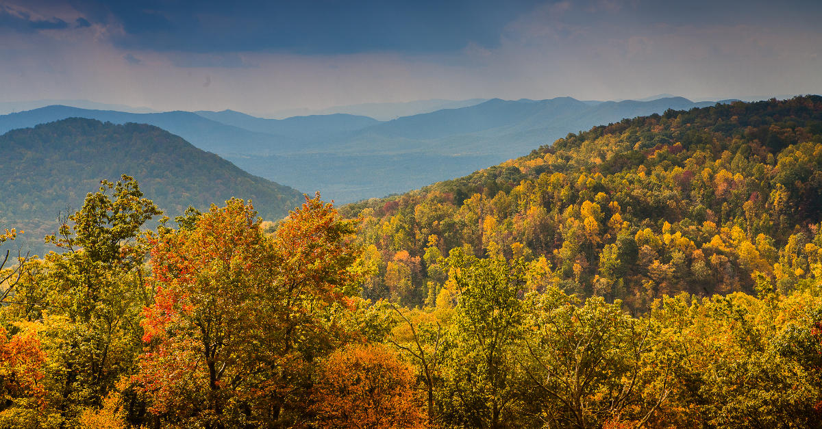 Fall Color in the Blue Ridge Mountains